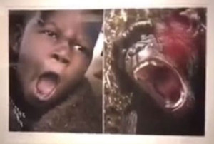This is one of  the disturbing exhibits that created an outrage of a roaring lion next to an African man with the same expression. 