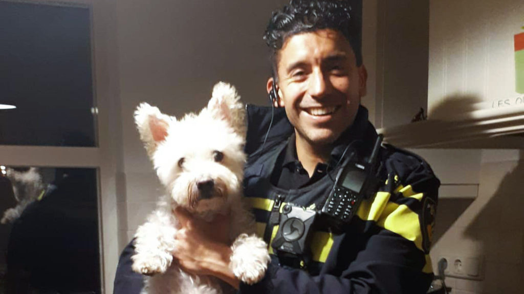 Baggin’ Bad Guys: Dog Named Frodo Helps Police Catch 3 Burglars