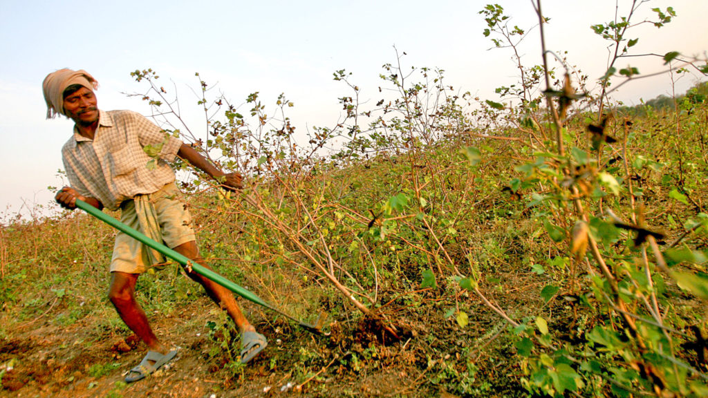 Pesticide Poisoning Complaint against Swiss Firm Accepted by International Body