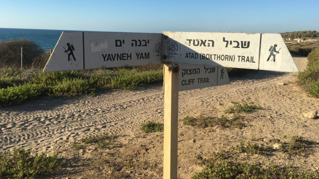 Top 10 Boardwalks and Beach Hikes in Israel