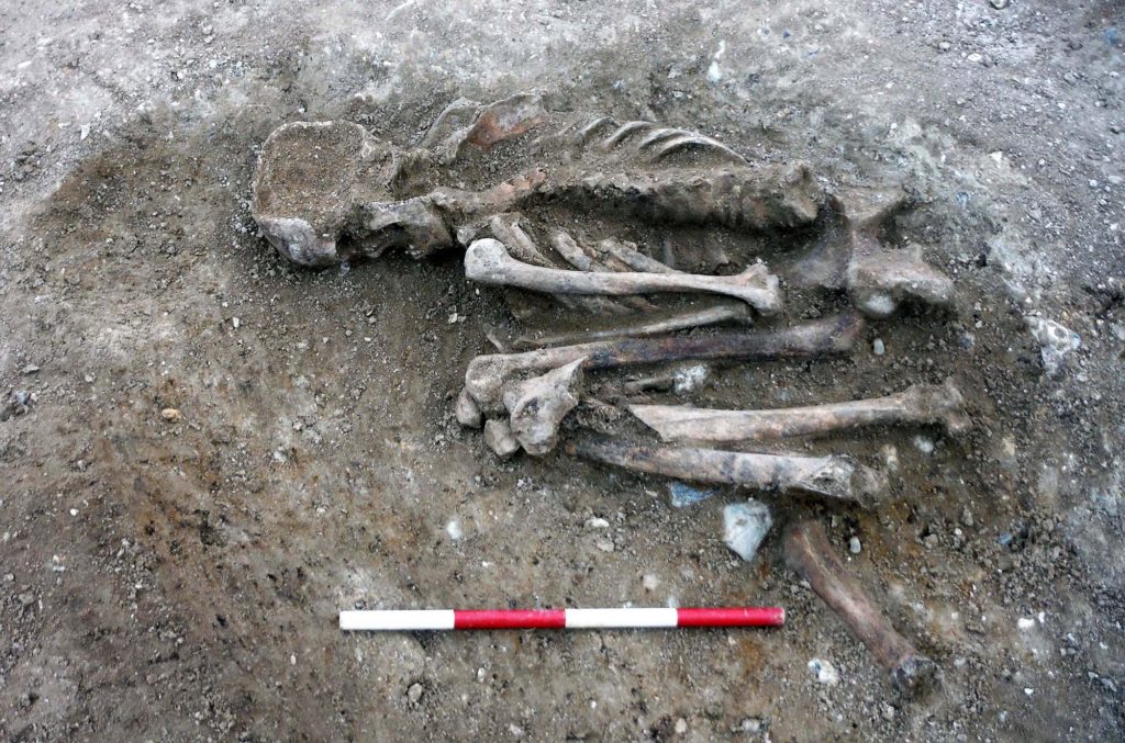 Ancient Bodies Reveal Hard Life in Prehistoric Britain