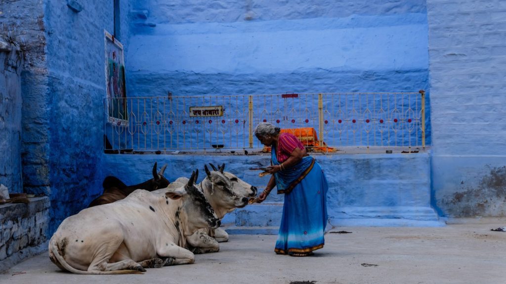 Latest Indian State to Ban Cattle Slaughter Raises Hackles