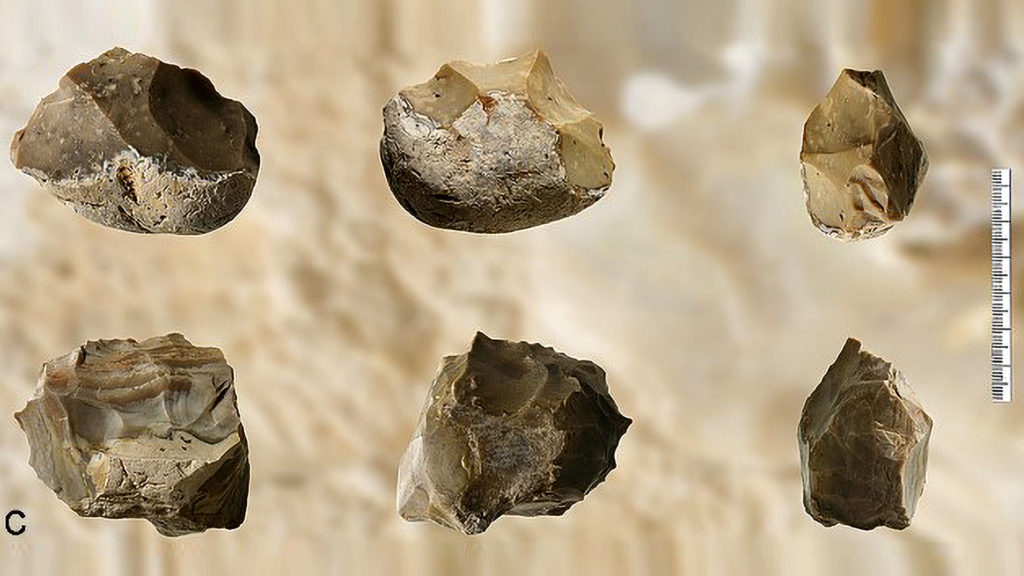 Cavemen Used Flint Tools To Slice Animal Bones For Marrow