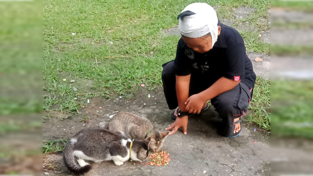 Cat-Loving Boy Vows To Keep Feeding Strays After Wildcat Severely Scratches Face