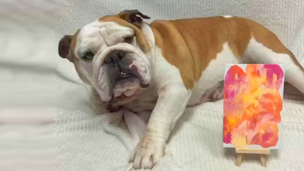 VIDEO: Canadian Animal Shelter Pups Create Beautiful Paintings