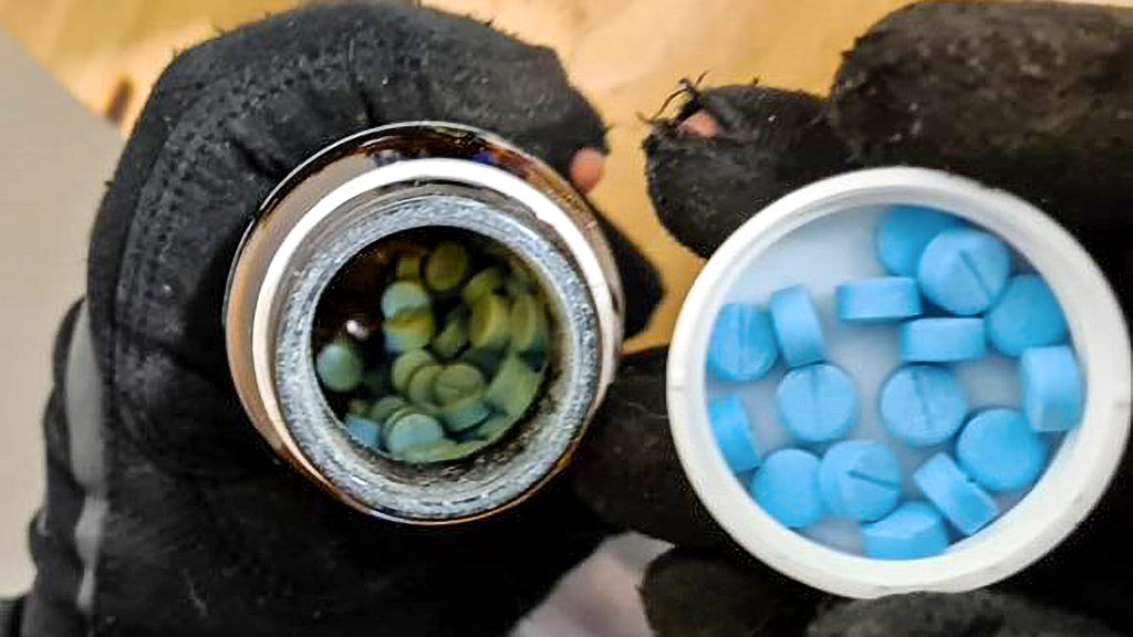 VIDEO: Police Uncover Drug Trafficker’s Stash Buried in Garden