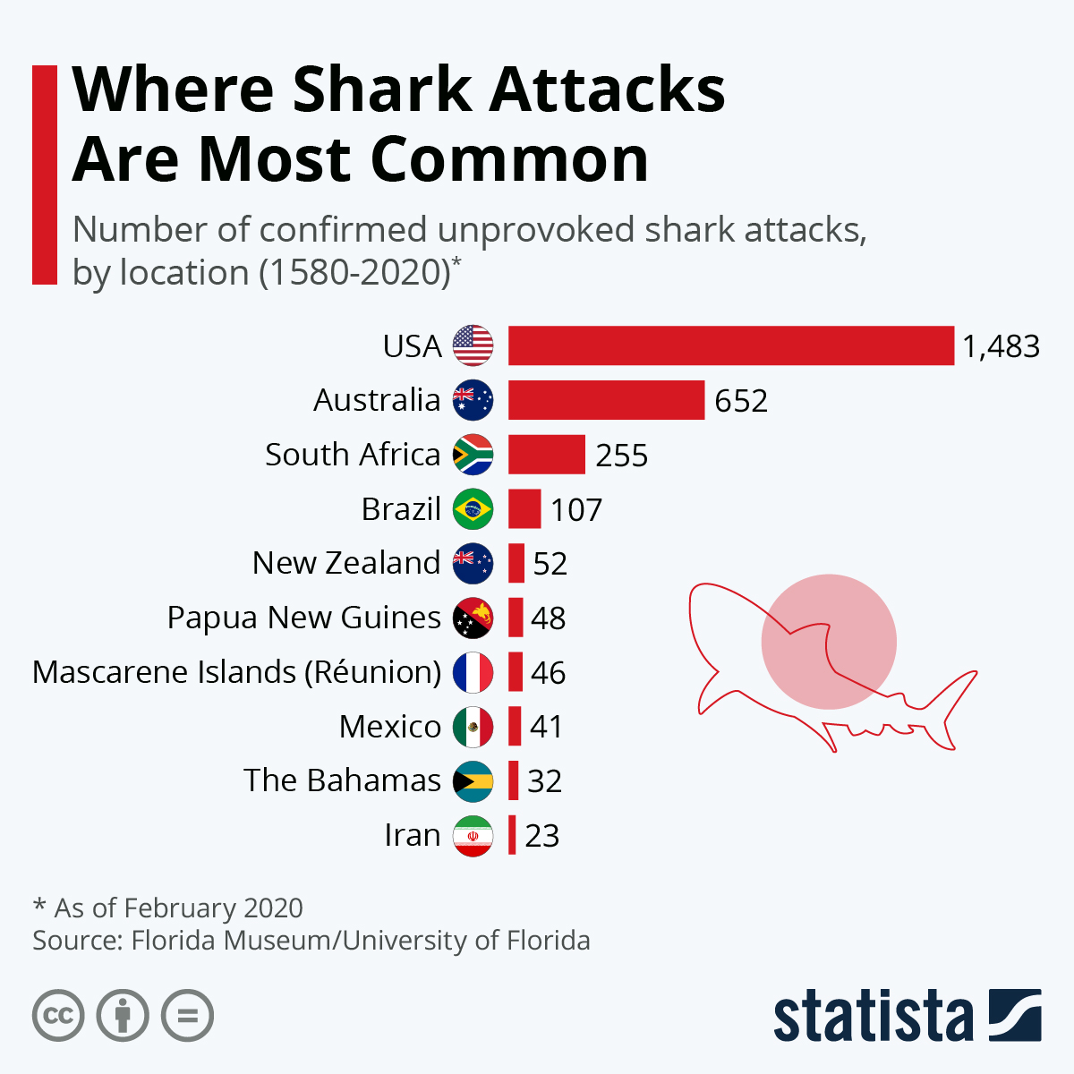 Shark attack