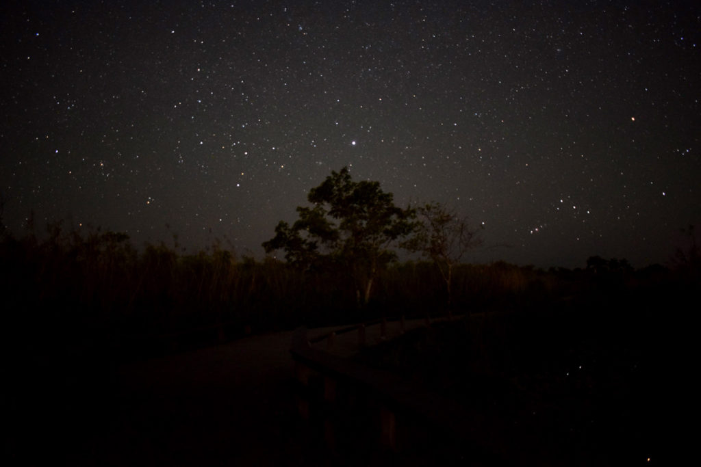 PHOTO ESSAY: Astrophotography From The Dark Skies Of Florida