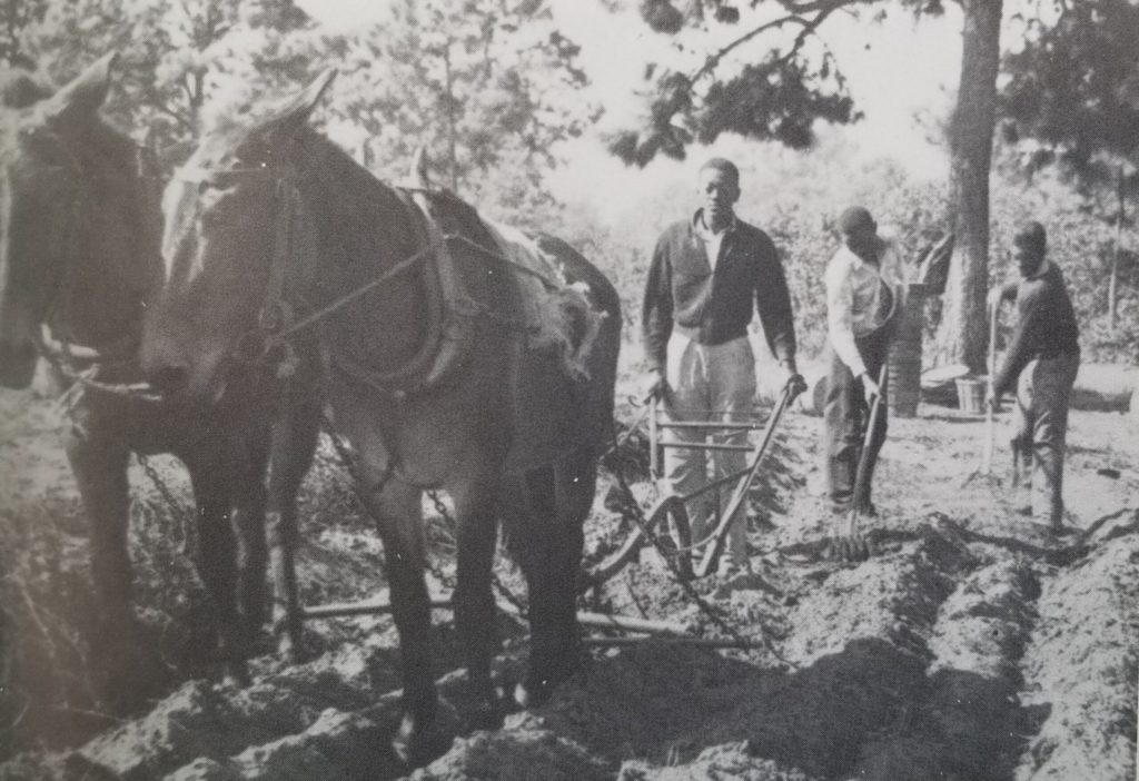 Gullah Geechee Nation Strives To Survive