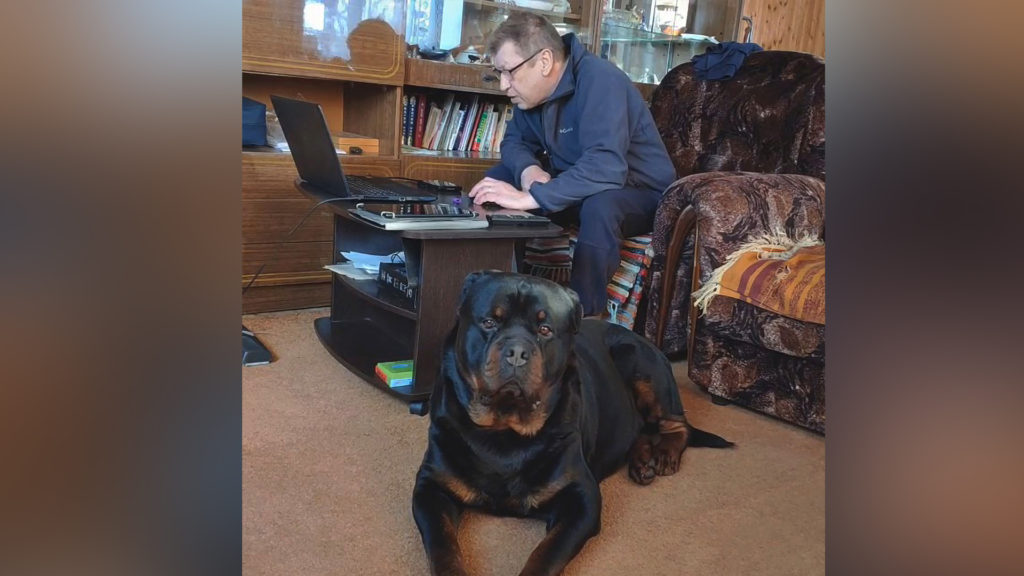 VIDEO: Howl’s About That? Houseproud Pooch Who Loves To Do His Owner’s Chores