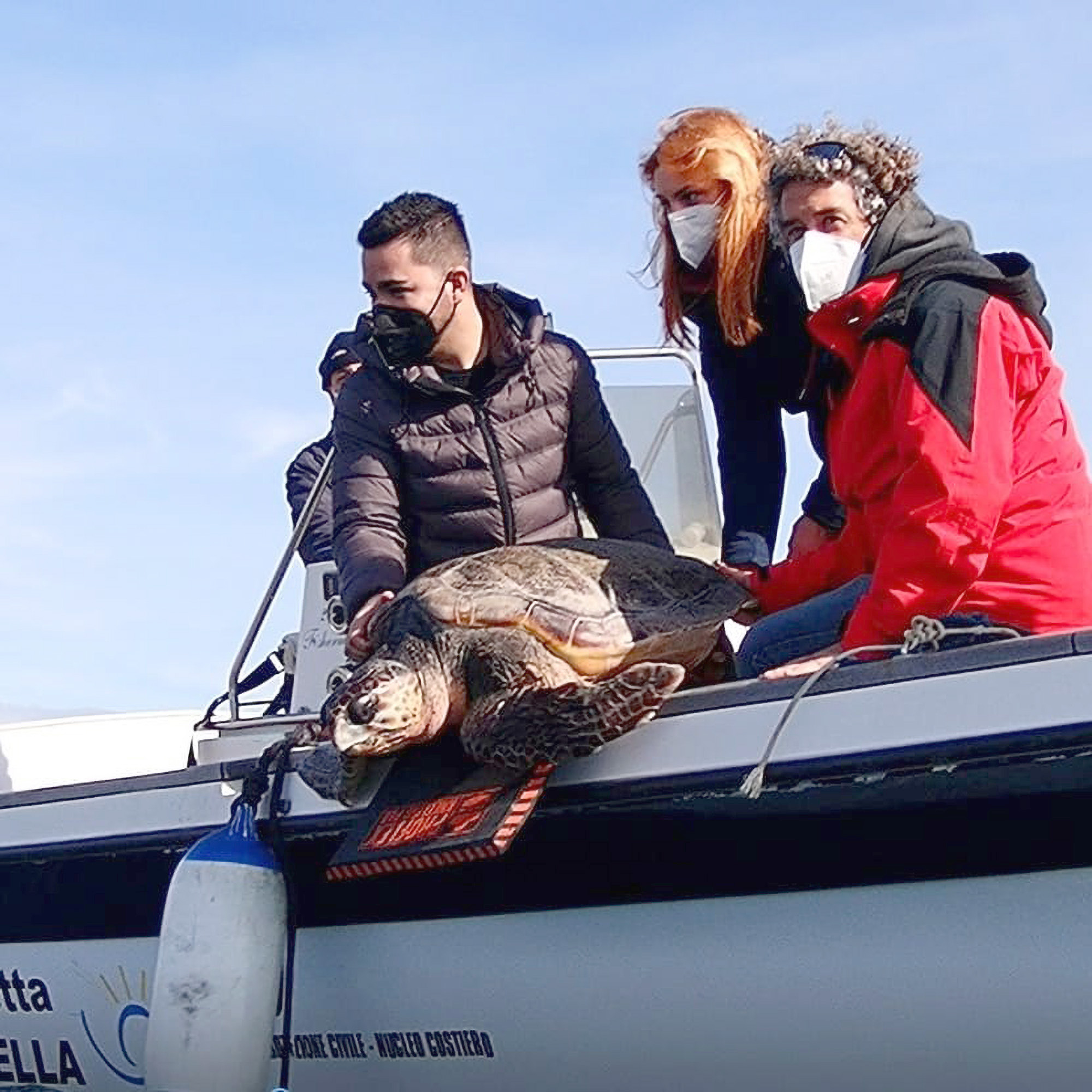 Video Net You Again Sea Turtle Eleonora Saved From Fishermen S Tackle Twice The Westside Gazette