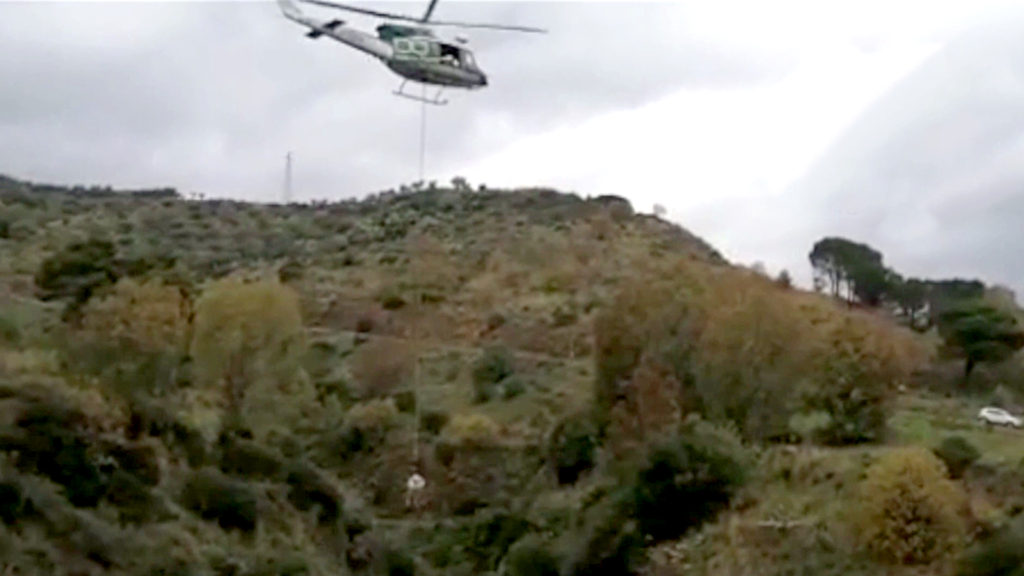 VIDEO: Tusk Force: Firefighters Rescue Horse From 120ft Ravine After It Fled From Wild Boars
