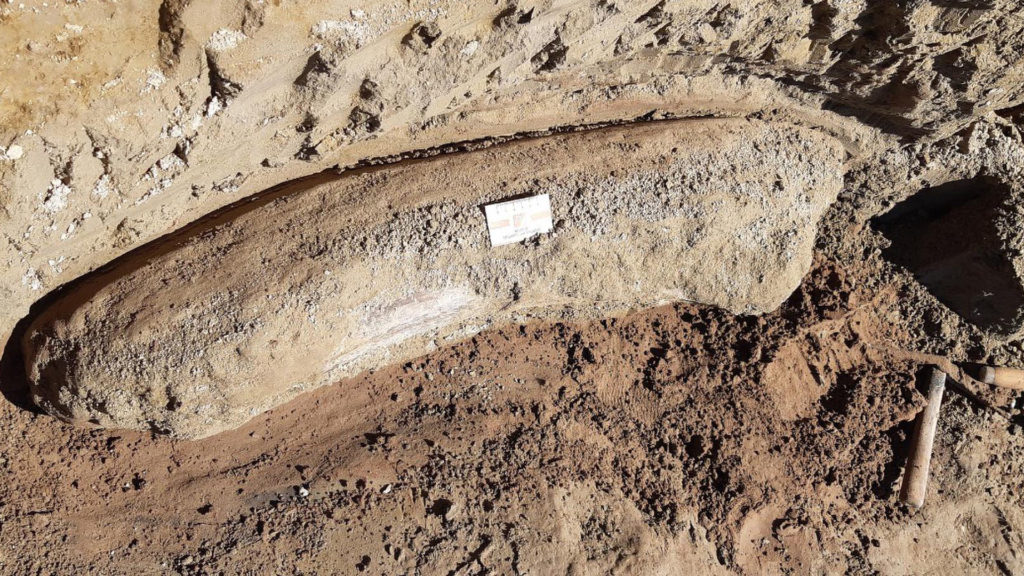 Drought Of Hiding: Hundreds Of Ancient Fossils Found In Exposed River Bed