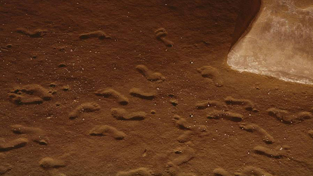 Rock And Stroll Show: Prehistoric Mystery Footprints Found In Ancient Cave Show Visitors Were Strapping 200lb Teens