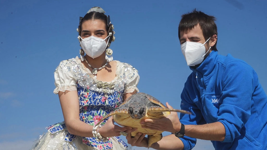VIDEO: Volunteer Releases Rare Turtles Wearing Plastic Dress To Highlight Waste Problem In Oceans