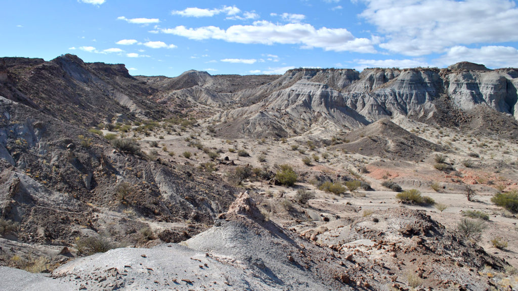 Archeologists Discover One Of The Oldest Unknown Species In Argentina