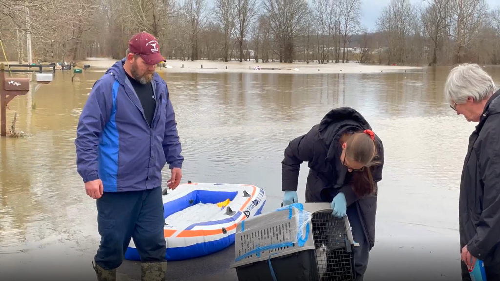 VIDEO: Family Rescues Cats From Flooded Home On Inflatable Raft