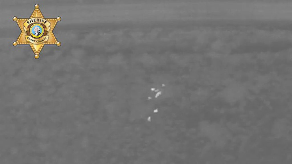 VIDEO: Hot Pursuit : Missing Senior Found In Woods By Police Thermal Camera