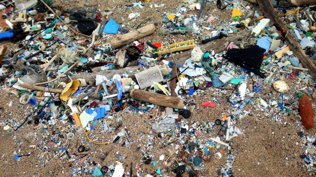 Microplastics Contaminating Food And Water Around The World