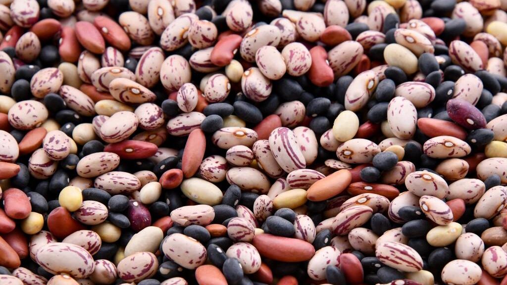 Bean Counters: Legume’s Versatility Is Key To Delicious Mexican Cuisine