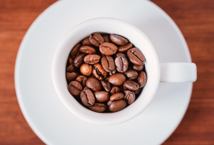 Café de Veracruz es considerado el mejor de México