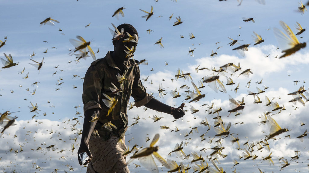 African Climate Activists Hopeful Following New Financial Pledges By The U.S.