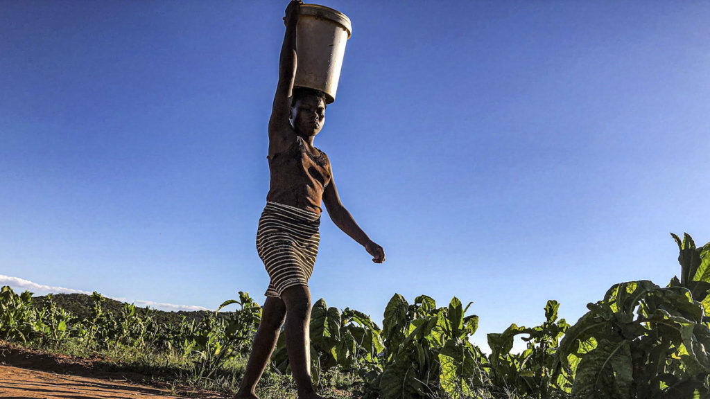 Seen But Not Counted: The Plight Of Immigrants In Zimbabwe