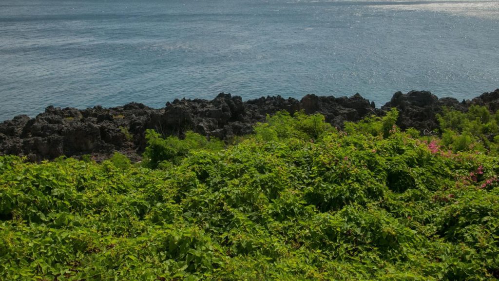 Ancient Humans Not To Blame For Extinction