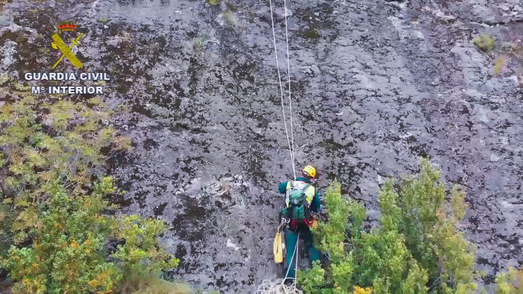 VIDEO: Dog Stuck On Ravine Ledge Saved By Mountain Rescue
