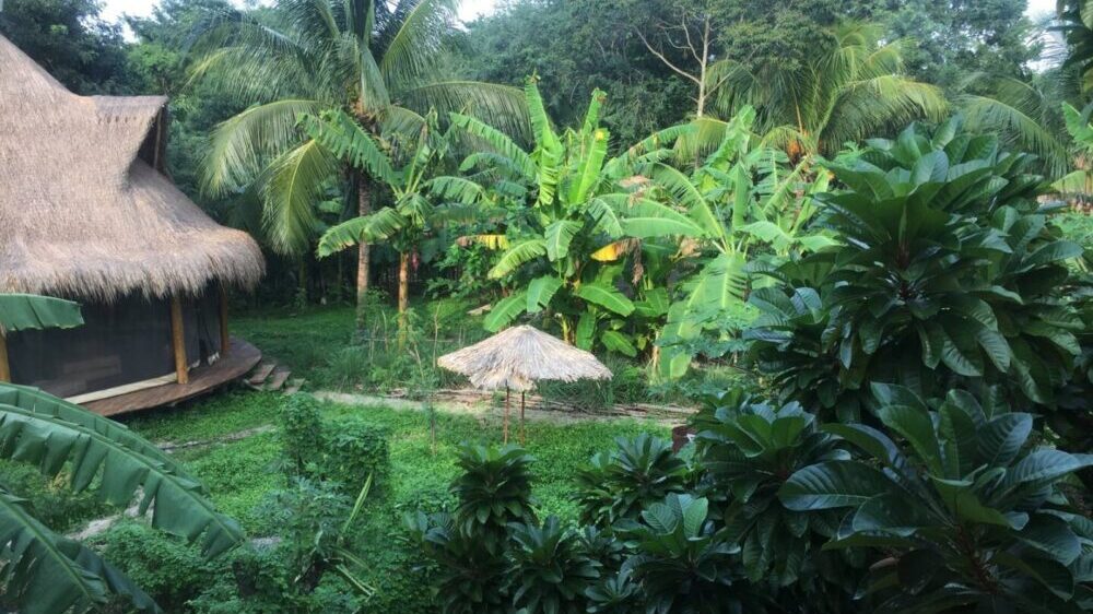 The Holistic Tikun resort in Mexico offers courses and the opportunity to learn about bees. (Courtesy of Holistic Tikun)