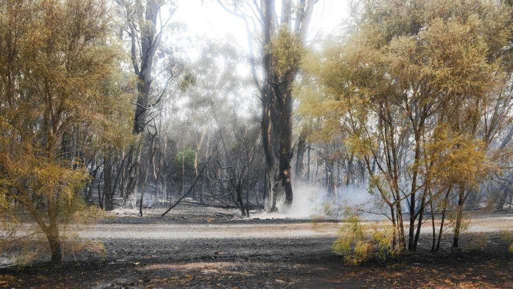 Rare May Bushfire Risk For South Australian State