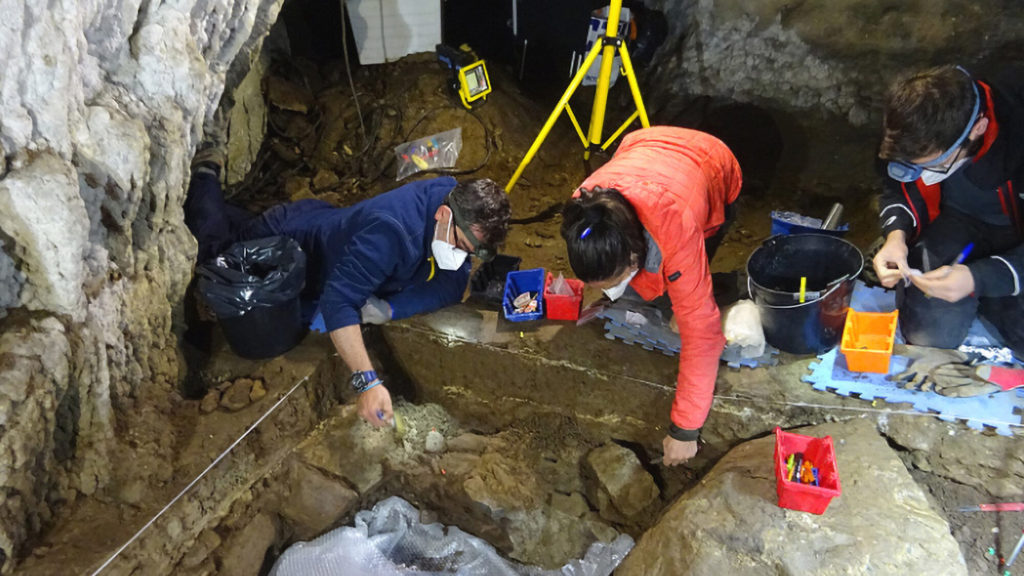 Mammoth Appetite: Ice Age Cavemen Hunted And Butchered Giant Tuskers, Say Scientists