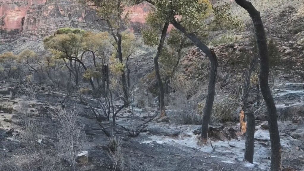 VIDEO: Senior Hiker Who Sparked $53 Million Grand Canyon Blaze Warns Others