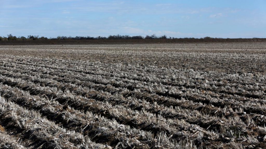 Australian Farmer’s Land Clearing Kyoto Case Turfed
