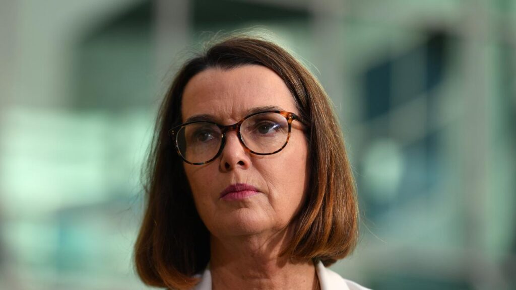 Minister Anne Ruston has apologised after an abuse survivor's details were shared with a stranger.