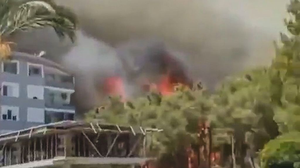 VIDEO: Holiday Hotspot Torched By Forest Fire Started Deliberately, Fear Officials