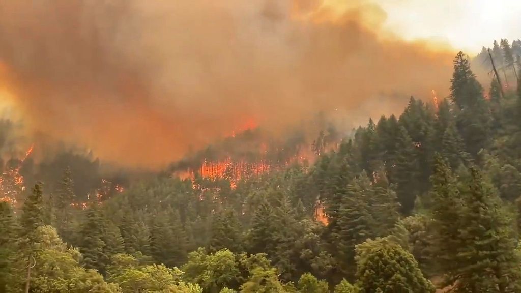 VIDEO: California’s Largest Fire Destroys More Than 200,000 Acres