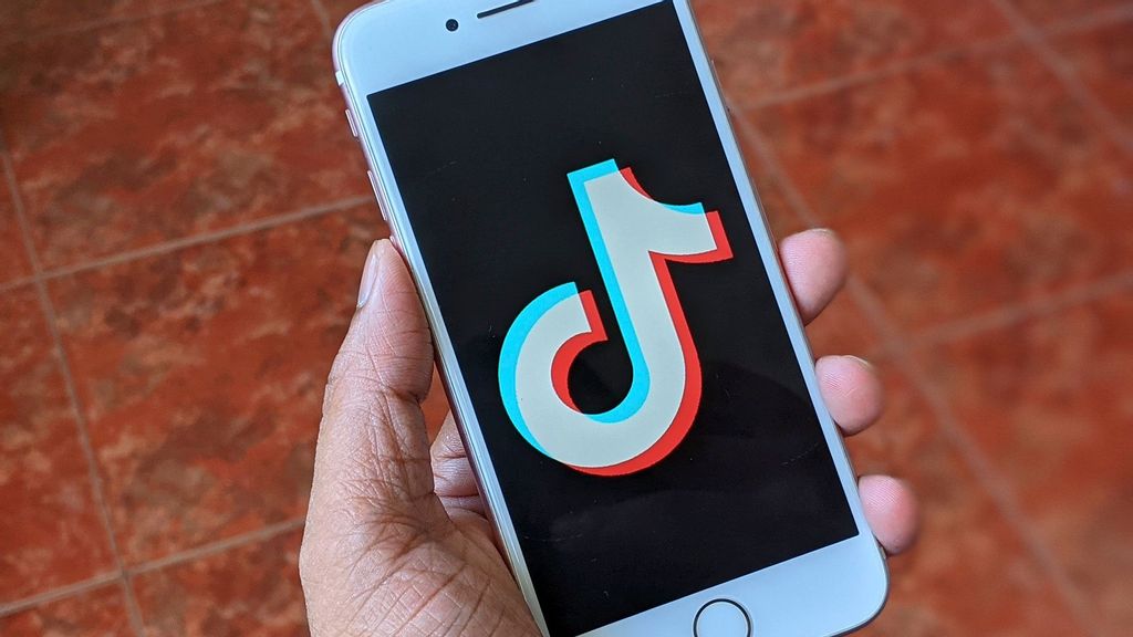 Pakistan Court Urges Authorities To Review Ban On Chinese App TikTok