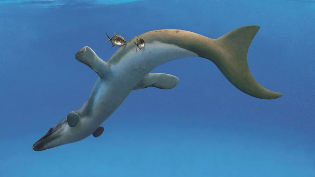 Smooth Croc-erator: Prehistoric Crocs Had Glossy Skin Like Modern Day Dolphins, Say Experts