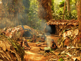 The traditional lifestyle and health of the Mbendjele BaYaka, an indigenous Congolese hunter-gatherer population living in the rainforests of Central Africa, are under threat from loggers and conservation groups, research shows. (N. Chaudhary/Zenger)