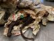 German customs officials prevented a half-ton of decaying bushmeat from being smuggled in from Nigeria. (Main Customs Office Cologne/Zenger)