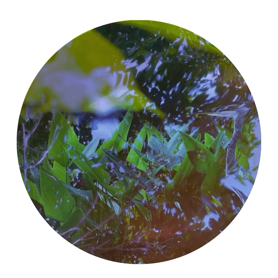 Animated Artwork Unveiled on Rooftop Terrace at Pompano Beach Cultural Center