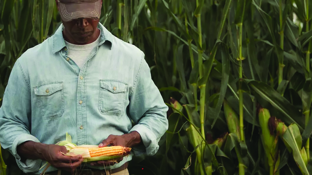 White South Africans Taking Black Farming Jobs In Mississippi: Report