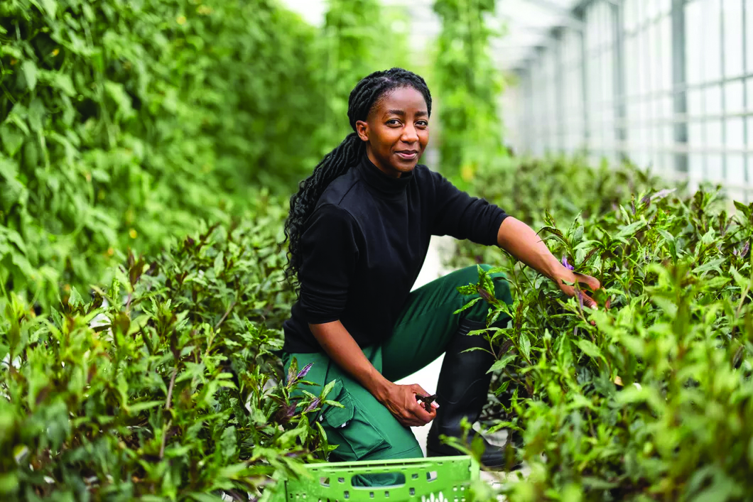 Federal Judge Restores $127M In Grants Supporting Black Farmers
