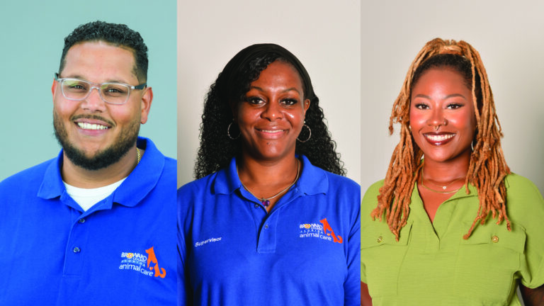 Broward County Animal Care Leaders Named to Legacy South Florida’s 40 Under 40