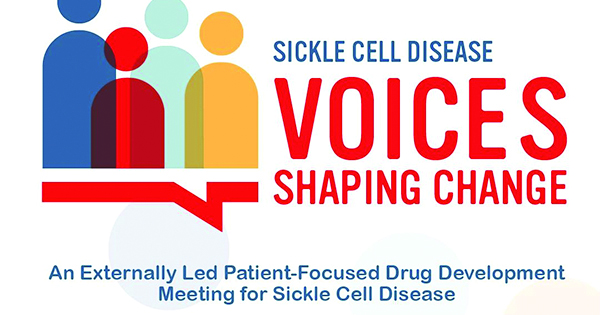 Sickle Cell Disease Association of America Inc. Hosts Externally Led Patient-Focused Drug Development Meeting on Sickle Cell Disease